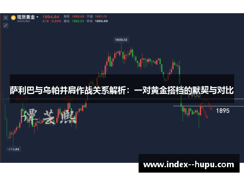 萨利巴与乌帕并肩作战关系解析：一对黄金搭档的默契与对比